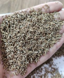 Brown Organic Cumin Seeds