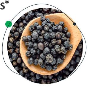 Organic Black Pepper, Form : Solid, Grade Standard : Food Grade For Cooking, Spices