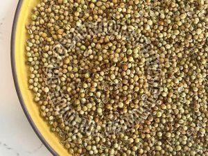 Raw Organic Coriander Seeds, Form : Granules