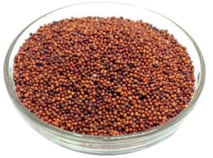 Finger Millet Seeds, Color : Red, Quality : A Grade, Packaging Type : Packet