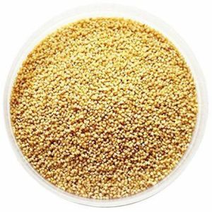 Foxtail Millet Seeds