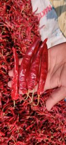 Ipm 341dry Red Chilli : 15 Quintal Available