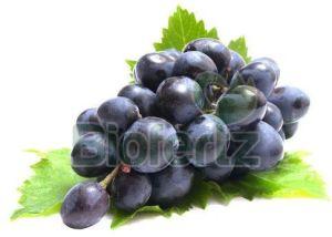 Fresh Black Grapes, Packaging Type : Carton Box, Packaging Size : 10Kg