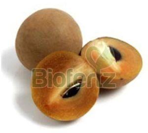 Natural Fresh Chikoo, Packaging Type : Plastic Bag