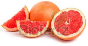 Natural Fresh Grapefruit, Packaging Type : Gunny Bags, Packaging Size : 5-25 Kg For Human Consumption