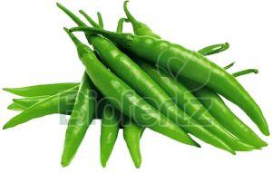 Natural Fresh Green Chilli, Packaging Size : 5-25 Kg, Packaging Type : Plastic Bag For Cooking, Making Pickles