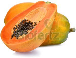 Natural Fresh Papaya, Packaging Type : Gunny Bag, Packaging Size : 5-25 Kg