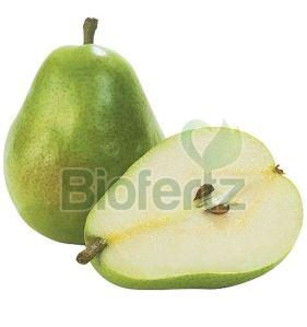 Natural Fresh Pear, Packaging Type : Carton Box, Packaging Size : 10kg For Smoothies, Desserts, Baking