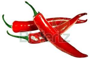 Fresh Red Chilli, Packaging Type : Plastic Bag, Packaging Size : 5-25 Kg For Cooking, Making Pickles