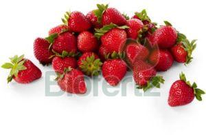 Natural Fresh Strawberry For Human Consumption