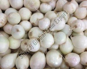 Fresh White Onion 7-15 Days, Packaging Type : Plastic Bag, Packaging Size : 5-25kg