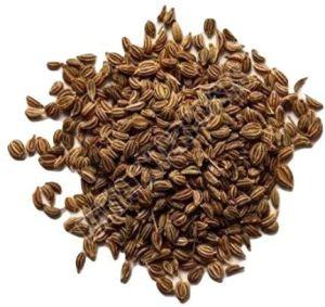 Raw Organic Ajwain Seeds, Color : Brown 100%, Grade : Food Grade