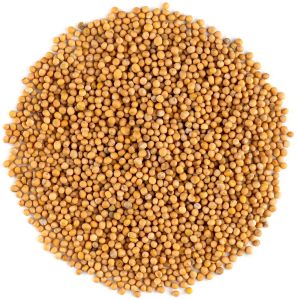 Yellow Mustard Seeds