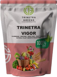 Trinetra Vigor Powder