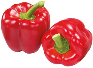 Fresh Red Capsicum, Packaging Type : Bag, Packaging Size : 20 Kg