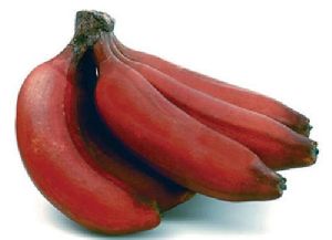 Natural Fresh Red Banana, Packaging Size : 5-10kg, Packaging Type : Paper Box For Human Consumption