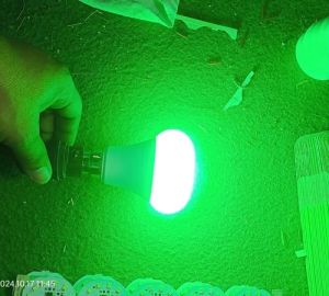 Green Color LED Bulb