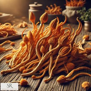 Dried Cordyceps Mushroom