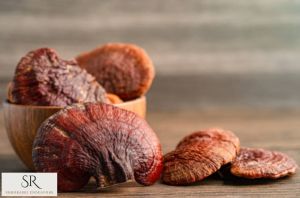 Reishi Mushrooms