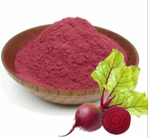 Spray Dried Beetroot Powder, Color : Red, Packaging Size : 10 Kg, Packaging Type : Bag