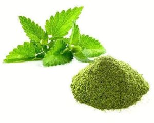 Spray Dried Mint Powder, Color : Green, Packaging Size : 10 Kg, Packaging Type : Bag