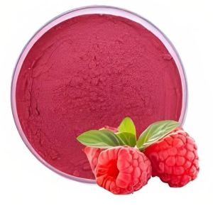 Spray Dried Raspberry Powder