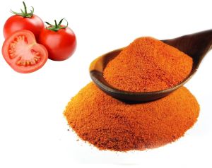 Spray Dried Tomato Powder, Color : Red, Packaging Size : 10 Kg