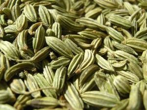 Fennel Seed