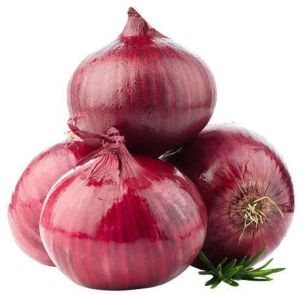 fresh onion