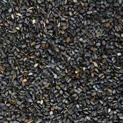 Natural Black Sesame Seed 99% For Use In Cooking Making Oil