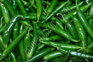 Fresh Green Chilli For Use In Cooking Spiece