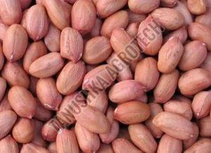 Groundnut Seed, Color : Brown For Human Consumption Making Oil