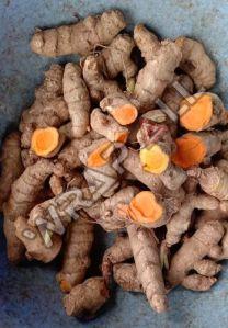 Natural Fresh Raw Turmeric Finger, Packaging Type : Bag, Packaging Size : 20 Kg For Cooking, Herbal Products