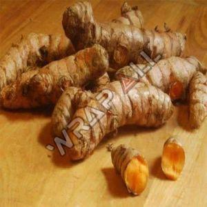 Natural Raw Turmeric Finger Fresh, Packaging Type : Bag, Packaging Size : 20 Kg