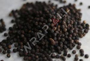 Organic Black Pepper Seeds, Grade Standard : Food Grade, Specialities : Hygenic, Pure For Spices