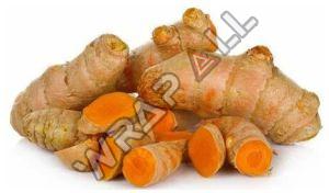 Natural Pure Raw Turmeric Finger Fresh, Packaging Type : Bag, Packaging Size : 20 Kg