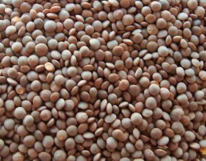 Organic Brown Masoor Dal, Certification : FSSAI For Cooking