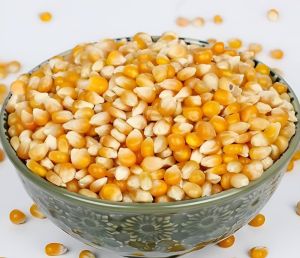 Organic Maize Seeds, Color : Yellow Dried