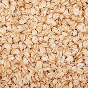 Oat Seeds 100%