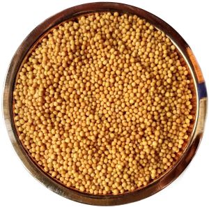 Yellow Mustard Seeds For Cooking