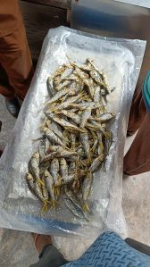 Dried Fish