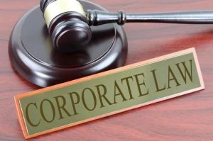 Company Law & Labour Law Consultants