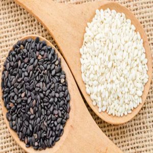 Organic Sesame Seeds, Color : Black & White Dried For Cooking