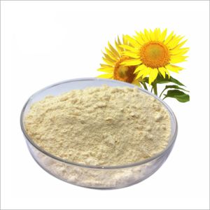 Sunflower Lecithin