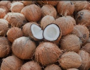 Dry Coconut