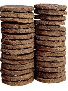 cow dung