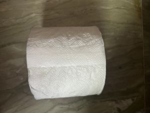 Toilet Roll