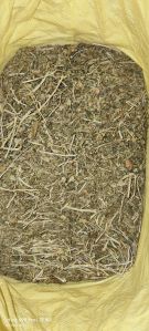 Natural Raw Medicinal Herb, Color : Light Green, Grade : Baled Package 15 Kg For Plantation