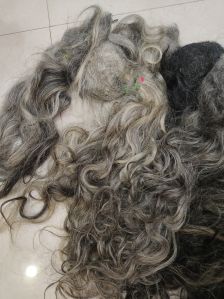 Grey Silver White Hair For Mother Teresa Hair Exports..