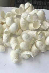 Cut Silkworm Cocoons